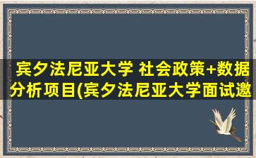 宾夕法尼亚大学 社会政策+数据分析项目(宾夕法尼亚大学面试邀请比例)